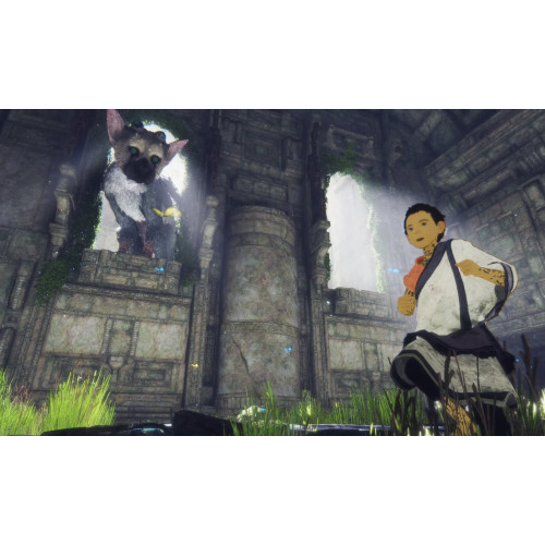 Употребявана The Last Guardian за PS4