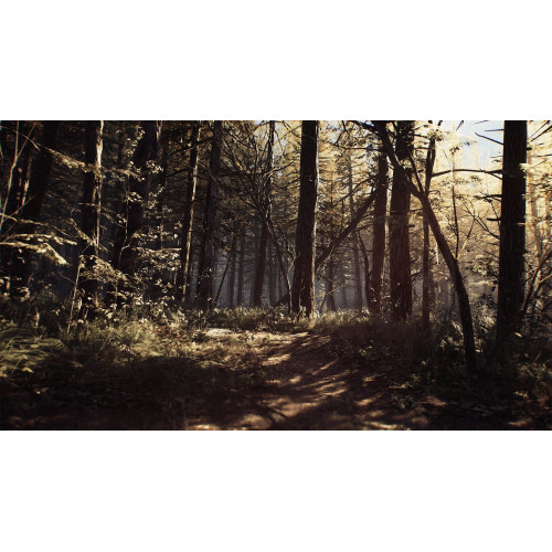 Употребявана Blair Witch за PS4