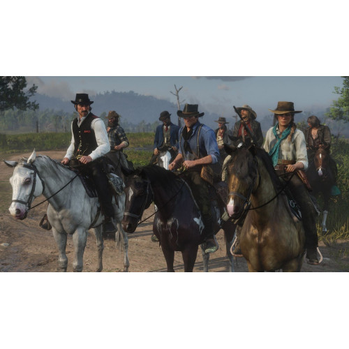 Red Dead Redemption II за PS4